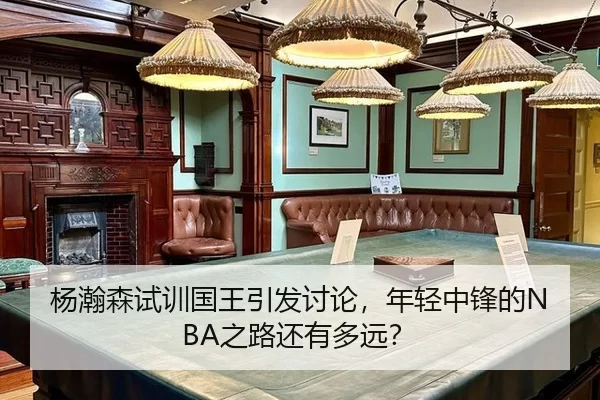 杨瀚森试训国王引发讨论，年轻中锋的NBA之路还有多远？